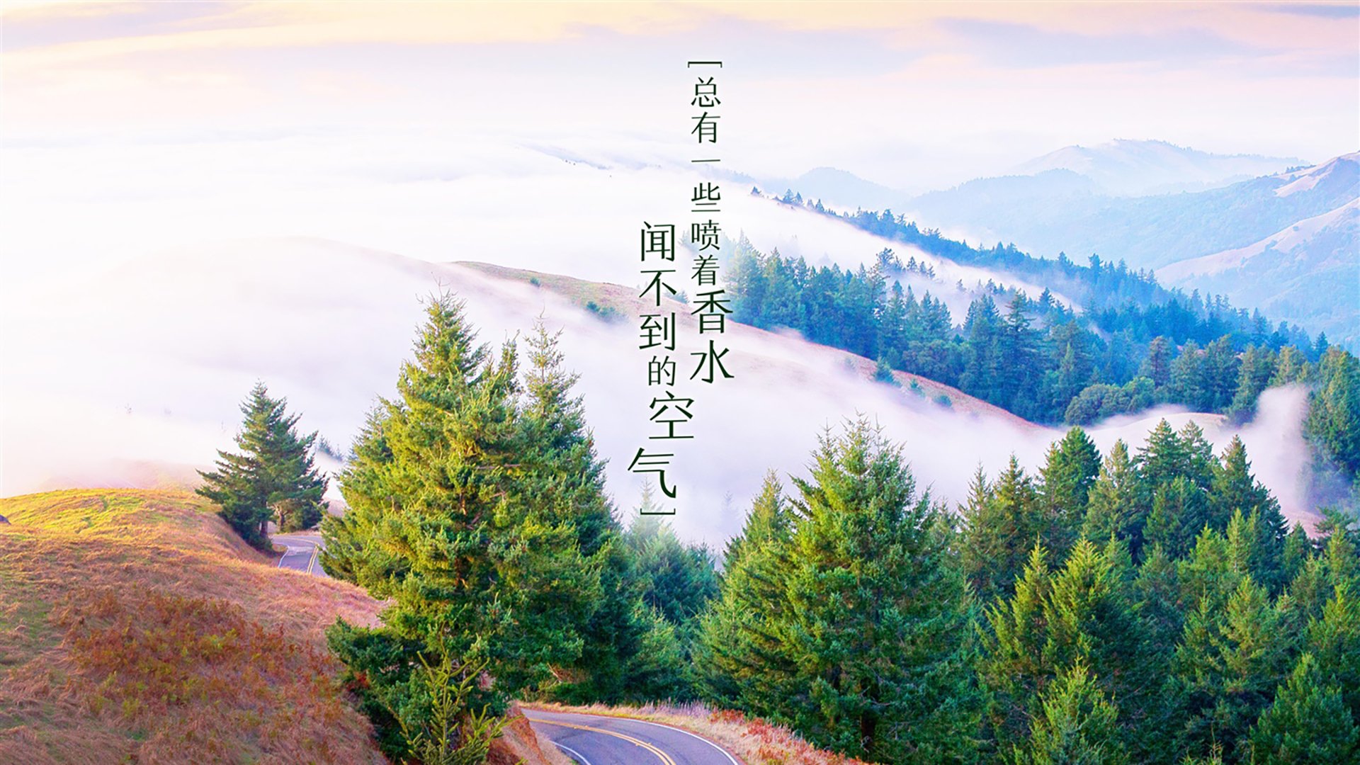 Dota 2 LGD遭遇强敌 磨合期考验战队默契，dota2现在lgd队员