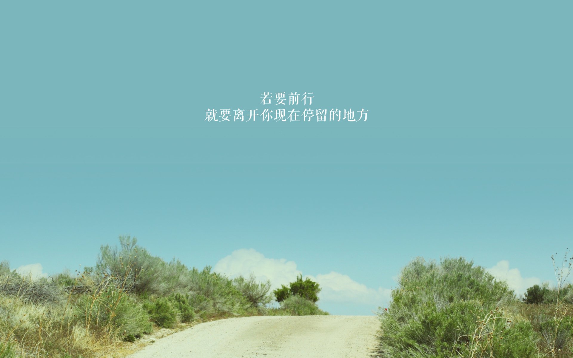 _老将引领奇才，注入球队新生命_，球坛老将