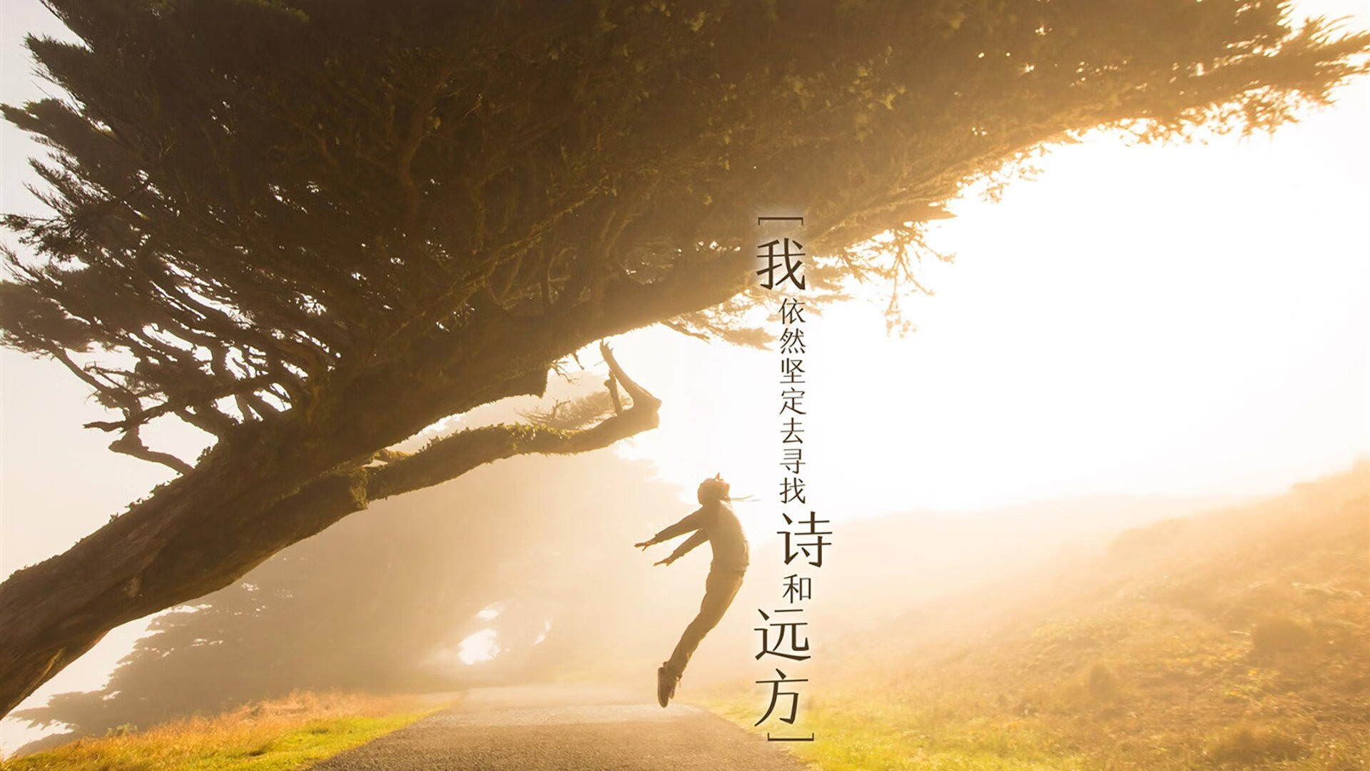 “德甲争冠集团压力剧增,场面火爆”,德甲冠军数排名