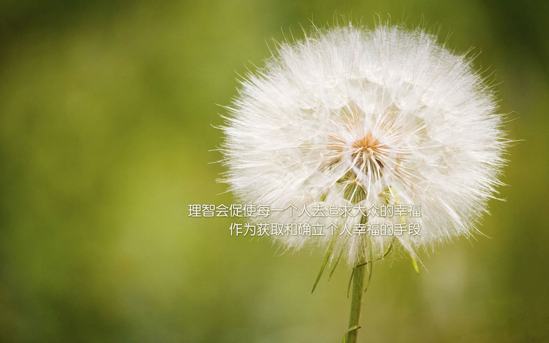 《Uzi：传奇归来，继续书写电竞新篇章》，电竞传奇uzi怎么解锁