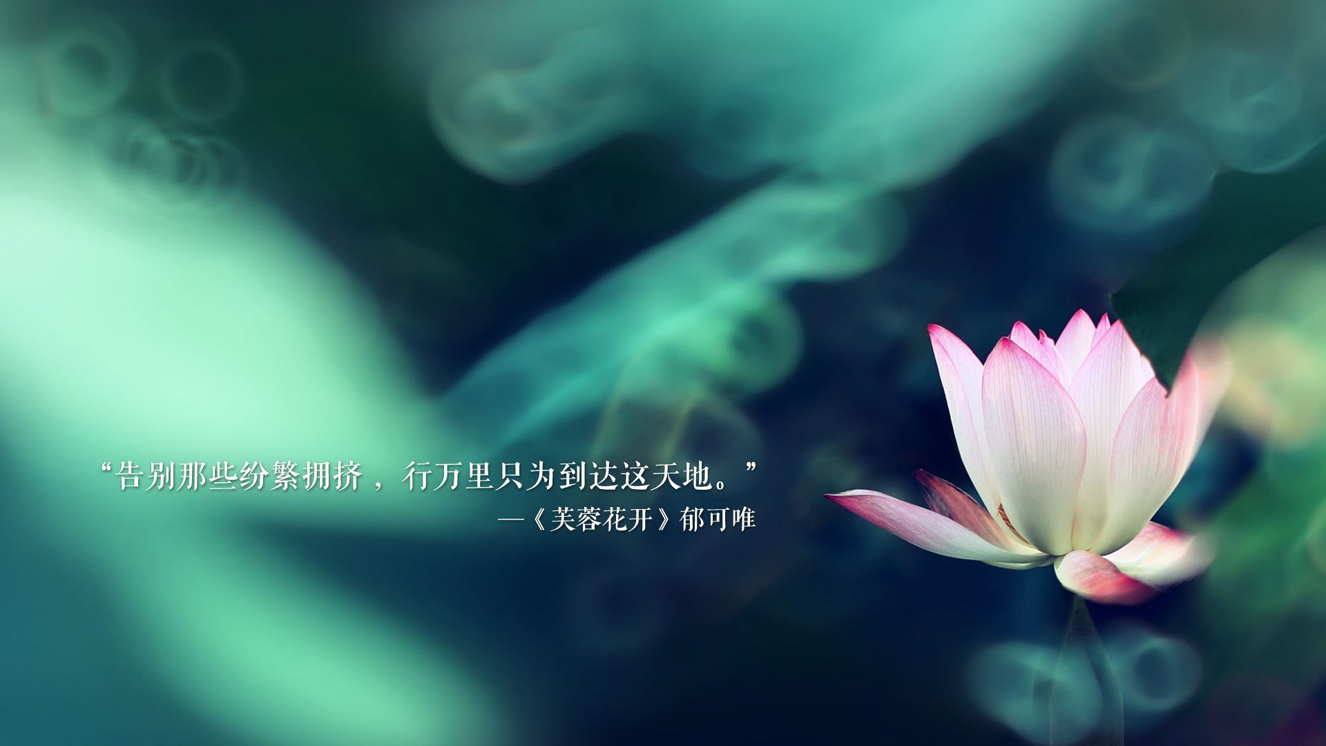 世俱杯2025赛程-《福布斯》：巴西女足在奥运会小组赛中与西班牙队激战，巴西女足 奥运会