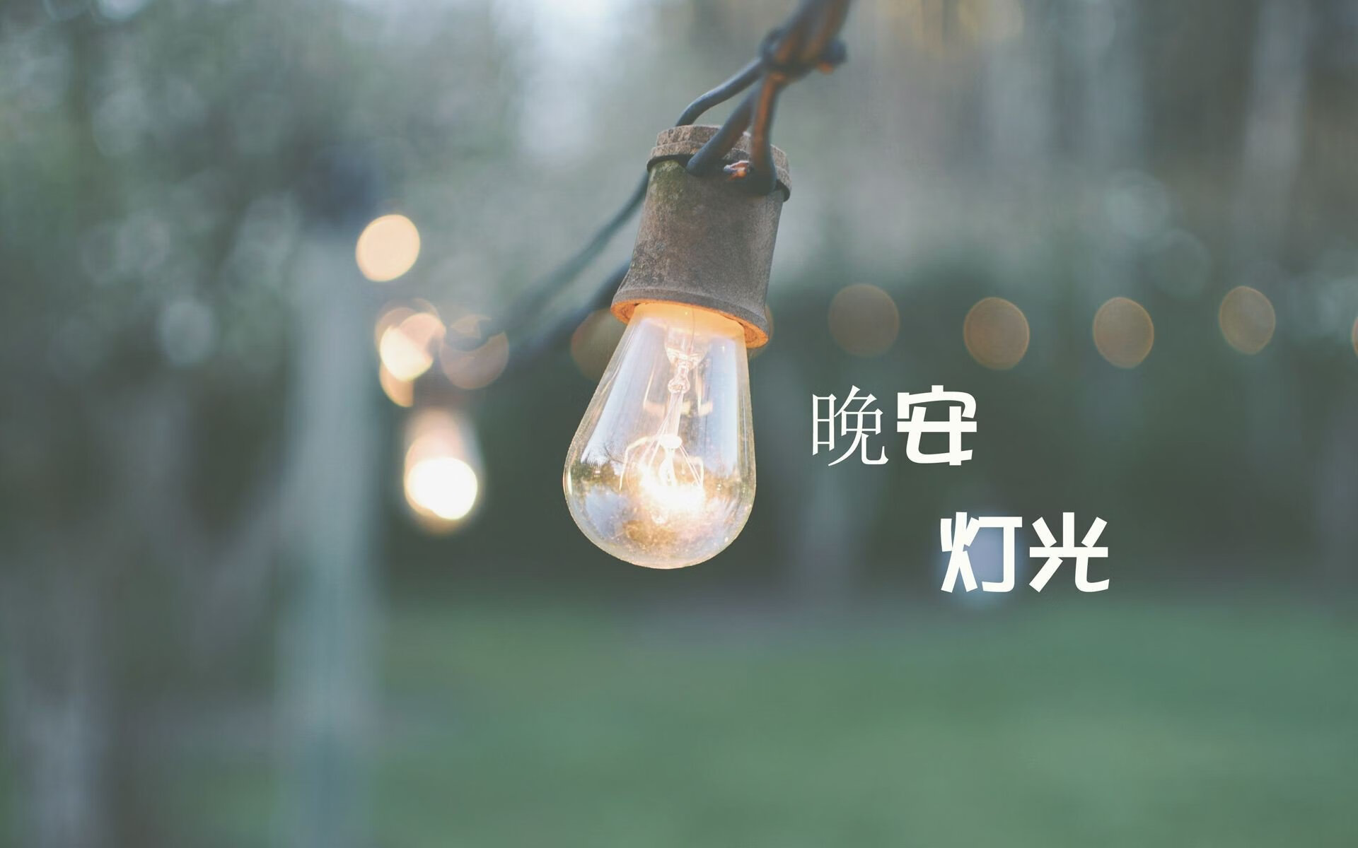 《英雄联盟》青训营：电竞新星的摇篮与残酷竞争，英雄联盟 青训