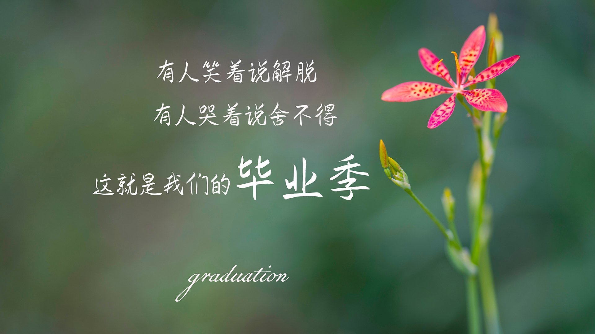 意甲豪门拼搏，球员表现催人奋进，精彩瞬间不断，意甲有几个豪门