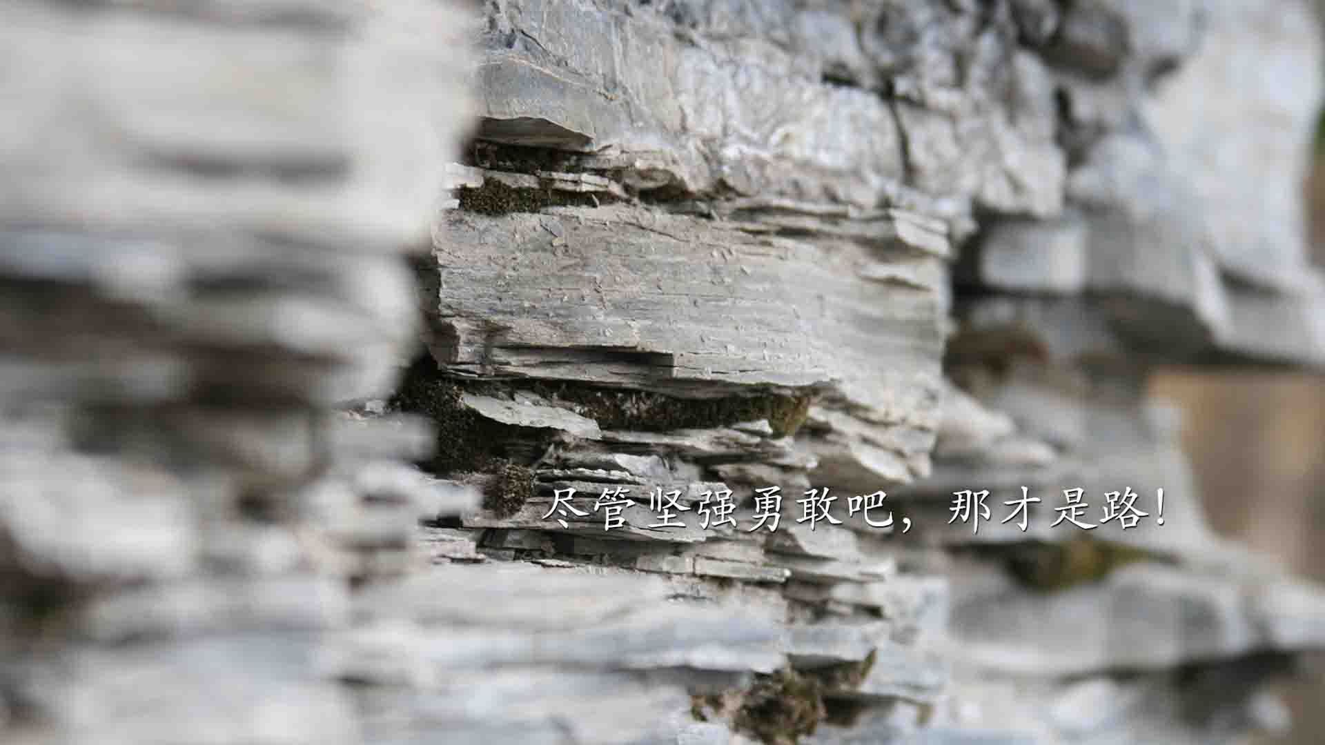 世俱杯入口-红牛车队再次展现统治力，目标冠军，红牛车队全称