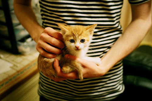 卡尔霍特认可德保利表现，佛罗伦萨中场稳定发挥