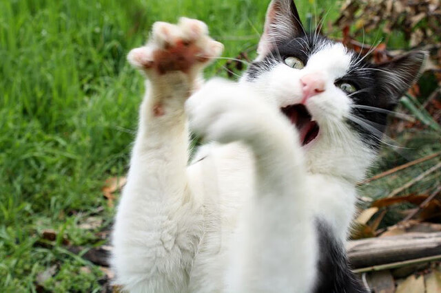 世俱杯网站-尼克斯翻盘热火，全明星赛前哨战中布伦森创下生涯新高，布伦森 虎扑