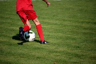 世俱杯2025赛程-篮球运动员专项技能训练课程体系创新探索，篮球专项训练方案