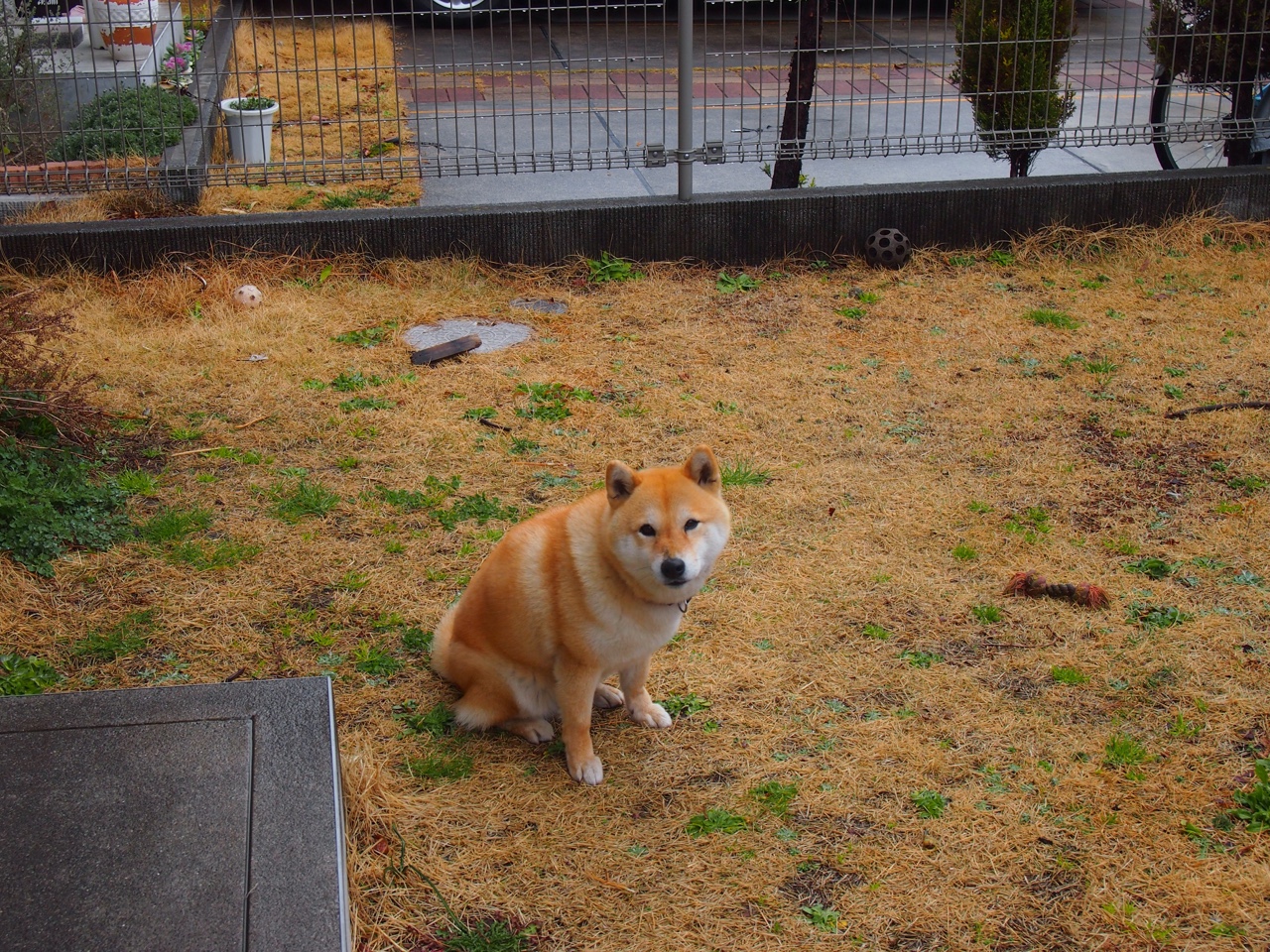 西甲“德比盛事”:皇马VS巴萨,世纪对决期待开启