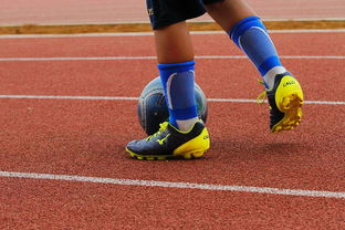 世界俱乐部杯-青训政策：推动偏远地区足球发展的新机遇，足球青训发展方案