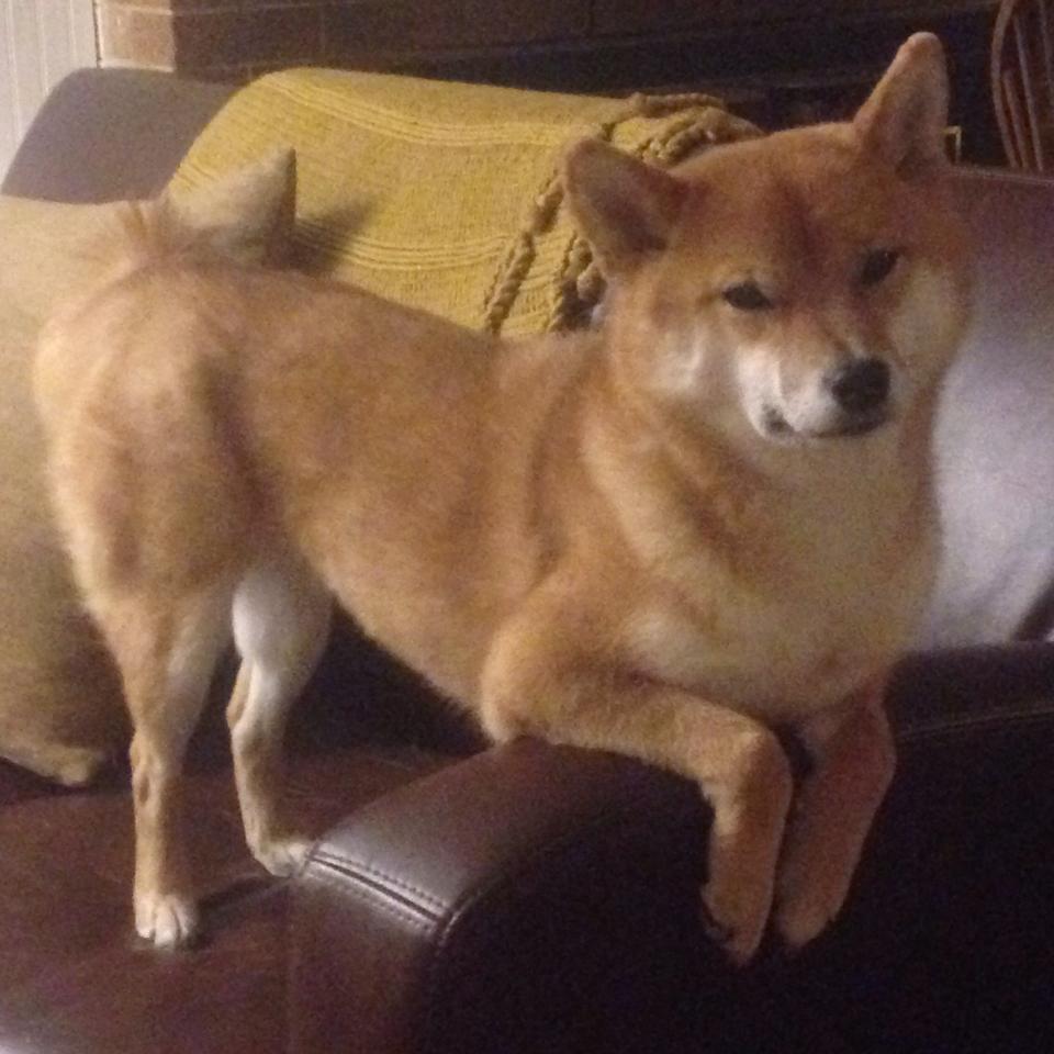 “2025世界运动会:高新体育中心举重赛让观众目瞪口呆”