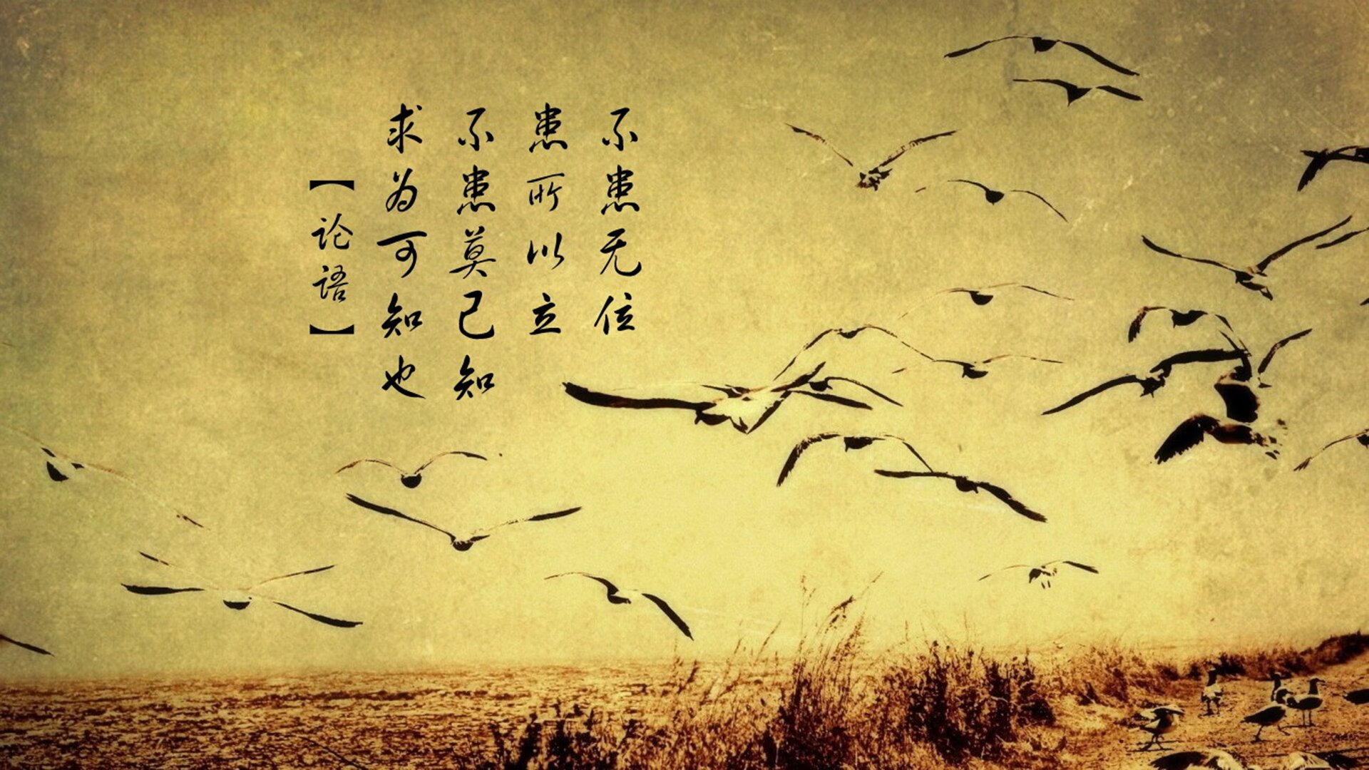 “武汉马拉松赛:赛道上的速度与激情”