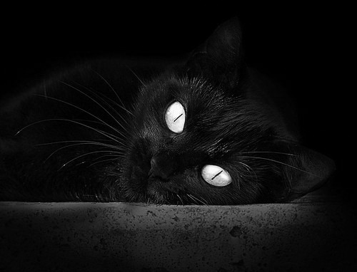 2025足球世俱杯官网-世界杯中国女足战平 球迷期待战术调整，中国足球女足世界杯