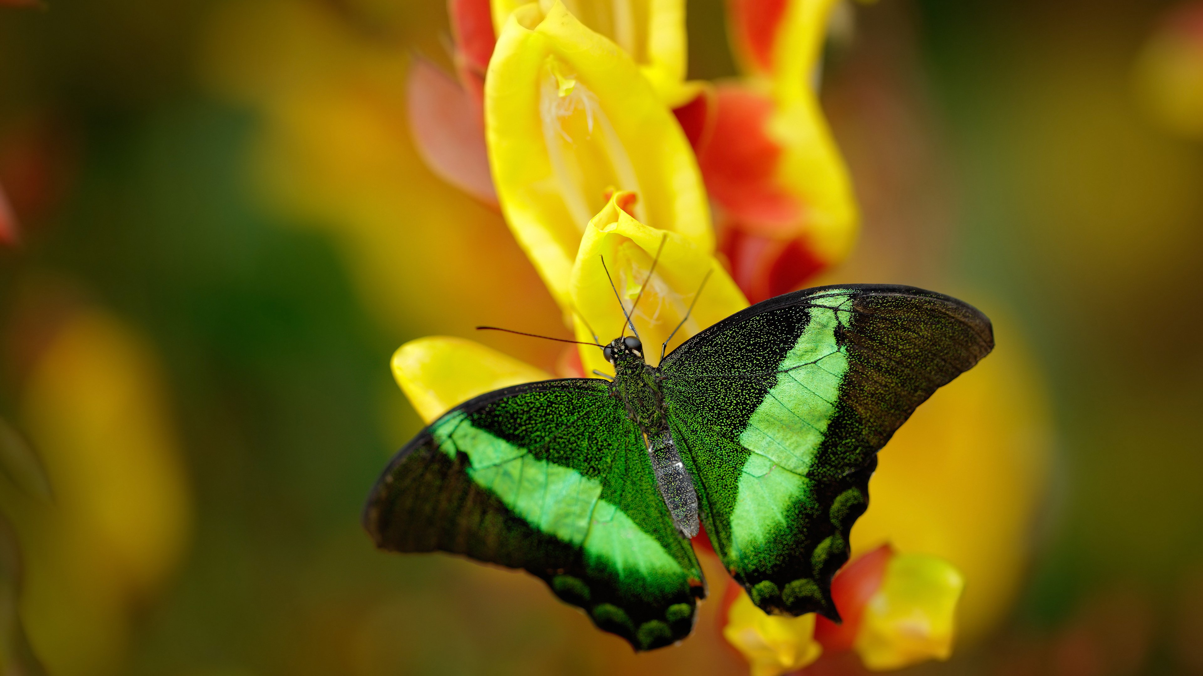 世界杯预选赛中国青年队复仇 球迷现场情绪激动，世界杯预选赛中国队第一轮